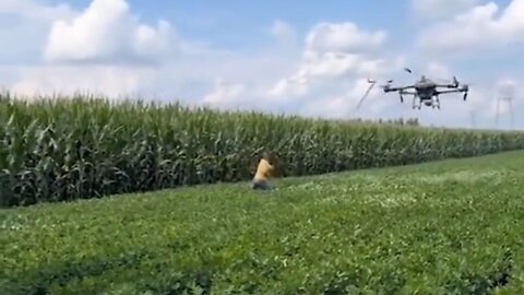 A Man Destroys A $10,000 Farm Drone With A Stick