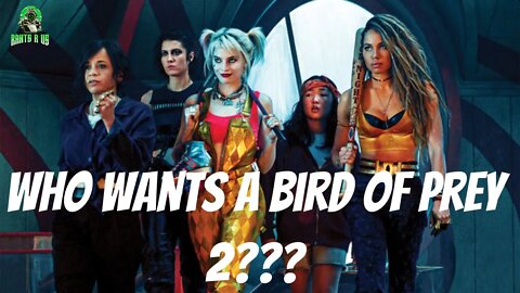 Birds Of Prey 2???