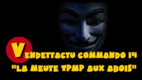 Vendettactu Commando "La meute TPMP aux abois"