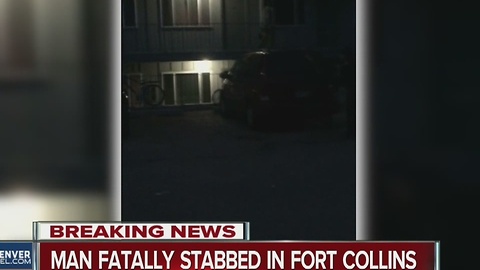 Good Samaritan attempting to help woman stabbed to death in Fort Collins