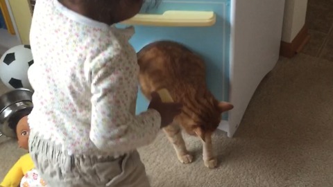 A Cat Gets Stuck In A Play-Kitchen Door