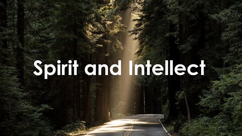 July 7 Devotional- You only "win" by the Spirit, not the intellect - Tiffany Root & Kirk VandeGuchte