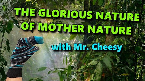 The Glorious Nature of Mother Nature with Mr. Cheesy