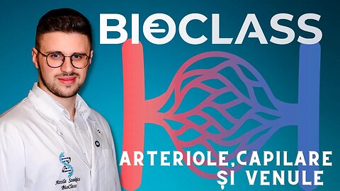 Arteriole, capilare și venule