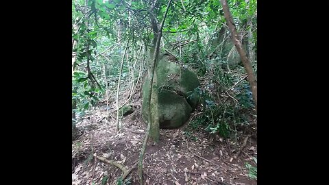 TRILHA NA CANTAREIRA PROXIMA AO RODOANEL NORTE