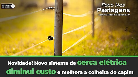 Novidade! Novo sistema de cerca elétrica diminui custo e melhora a colheita do capim.