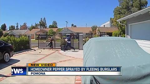 SoCal homeowner pepper sprayed during burglary