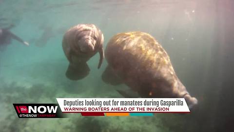 Hillsborough County deputies working to protect manatees during Gasparilla festivities