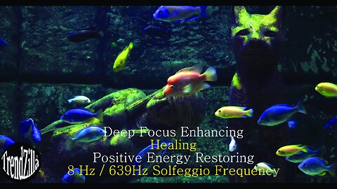 Study Focus Concentration Meditation Music 639Hz Solfeggio