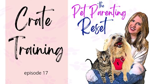 Crate Training Your Dog Why To Train & Why NOT To Train | The Pet Parenting Reset, episode 17