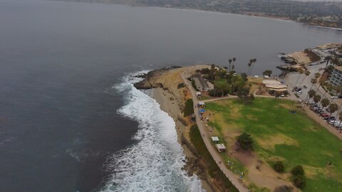 Blasian Babies DaDa Skydio 2+ Drone Video Point La Jolla Cliffs Relaxing Surf Sounds, Part 1 (4K)