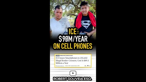 ICE: $90 Million/Year on Cell Phones #shorts