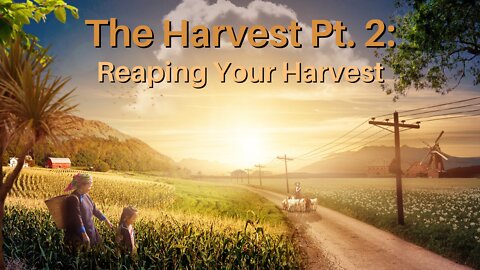 The Harvest Pt. 2: Reaping Your Harvest