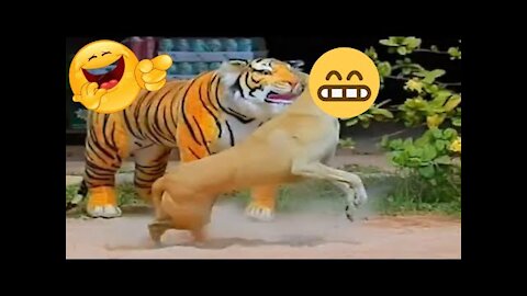 fake tiger prank dog 2021,Wow!!! Fake Tiger Prank Dog So Funny Prank|