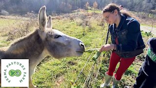 Kid Friendly Farm Activities