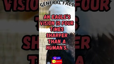 🦅👁️🤯Interesting Facts! 👀 #shorts #shortsfact #facts #generalfacts #generalknowledge #eaglefacts #eye