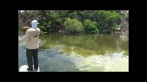 rod and line fishing