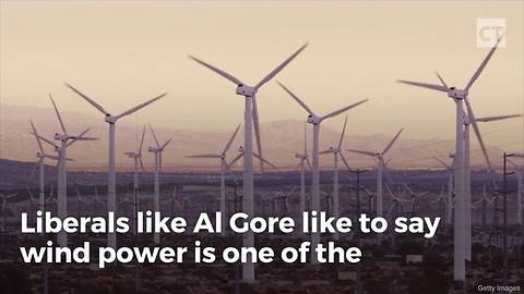 Al Gore Won't Tell You Wind Power's Dirty Secret