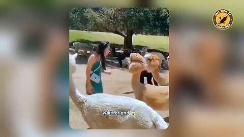 Description 🤣😜 इन जानवरों से पंगा ना बाबा ना | Funny Animal Videos 2023 -