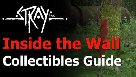 Stray - Chapter 1: Inside the Wall Collectibles Guide - Scratching Spot - Territory Trophy