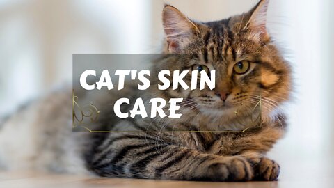 CAT'S SKIN CARE