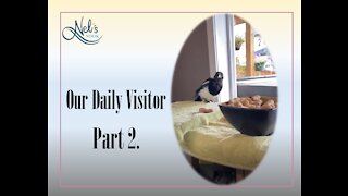 Our Daily Visitor - Part 2