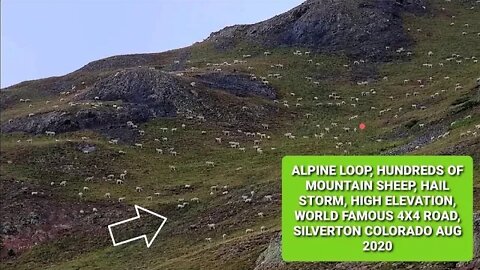 World Famous 4x4 Back Country Rd, Alpine Loop, Hundreds of Mountain Sheep, Double Rainbow