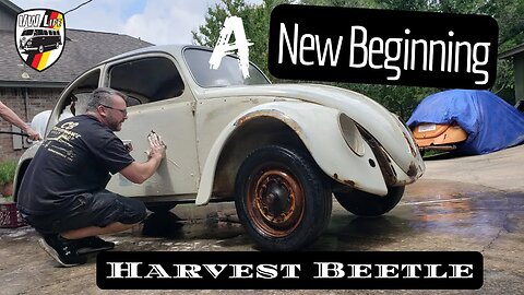 A New Beginning for the Harvest Beetle!