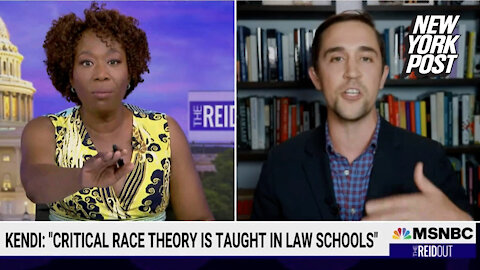 Joy Reid owned by critical race theory critic over refusing to let him speak