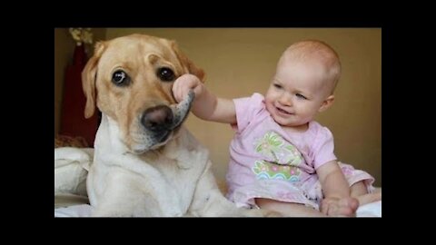 Funny Babies Laughing at Dogs