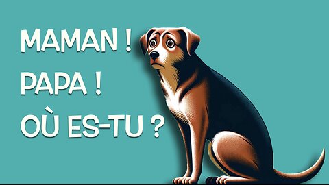 Comment aider ton chien qui a peur