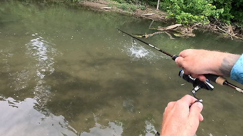 Trout Fishing In Northeast Iowa || Catching Trout In The Rain