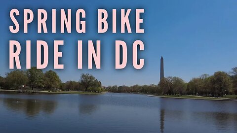 Biking around Washington D.C. on a Wednesday, just taking in the sights.