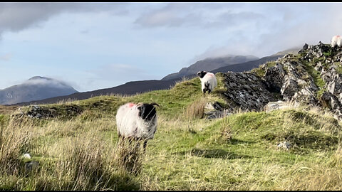 ☘️Looking for Uncle Shawn “The Angry Irishman” In Claddaghduff County Galway Ireland☘️