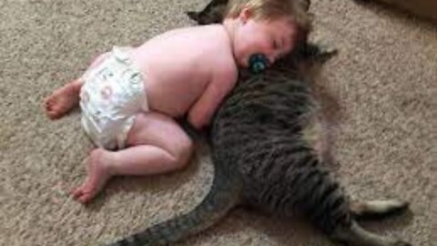 Who is more the baby or the cat clown?