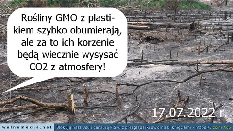 WEF chce sadzić umierające rośliny GMO z niegnijącymi korzeniami