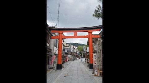 1000 Torii Gates (pt 1)