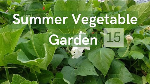 Summer Vegetable Garden #15 #gardening #vegetablegarden