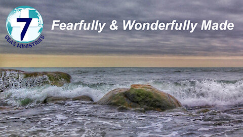 Fearfully and Wonderfully Made