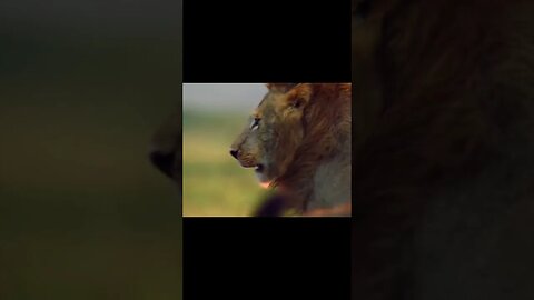 LION MENTALITY (Powerful Motivational Speech)