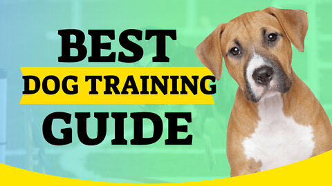 Learn How To Train Your Dog or Puppy Anything Reality Dog Training|Train Your Dog| Puppy Training