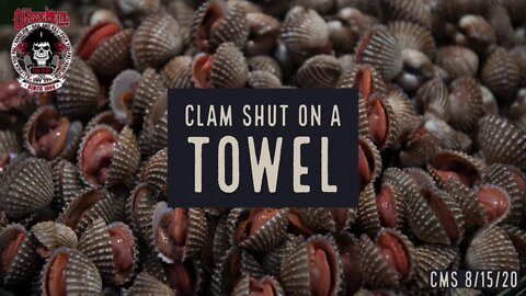 Clam Shut On A Towel