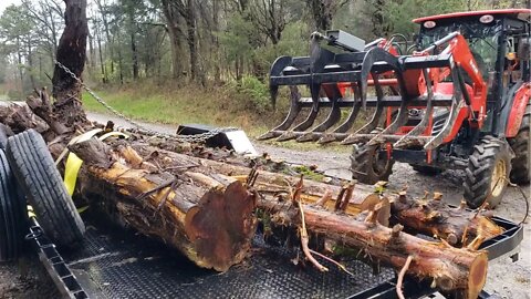 DIY red cedar logs! 2 retired guys on a rainy day mission. Kapper Outdoors vlog daily challenge!