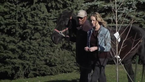 Higher Ground – Horse therapy for veterans