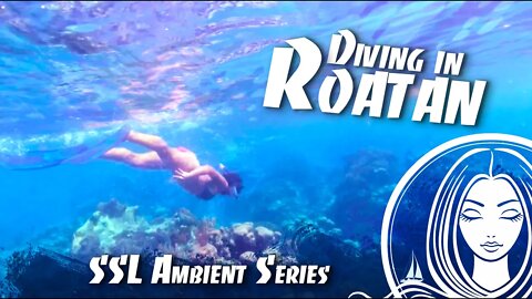 SSL Ambient Series ~ Freediving with Valentina in Roatan, Honduras.