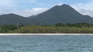 ILHA DO CARDOSO, Cananéia, São Paulo, SP - Vista do Barco