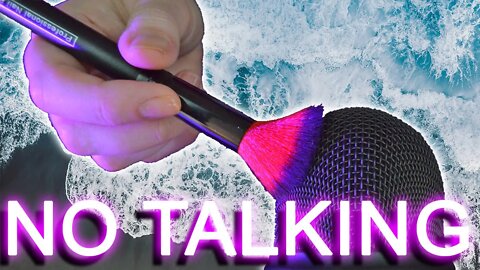 ASMR Mic Brushing | No Talking