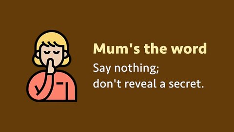 Idiom: Mum's the word (meaning, examples, pronunciation)