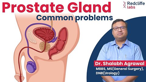 ✅ Prostate Gland and Urinary Problems Home Remedies | ✅