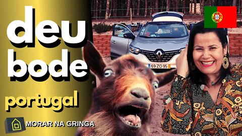 VIVENDO EM PORTUGAL - DEU BODE NA NOSSA VIAGEM